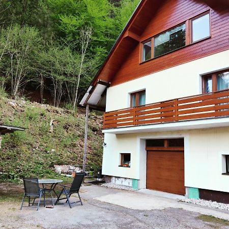 Seeblick Krippenstein Obertraun Exteriér fotografie