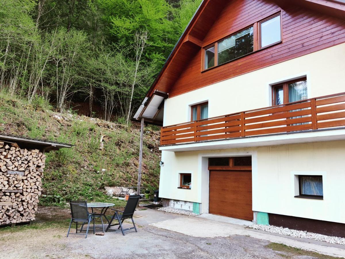 Seeblick Krippenstein Obertraun Exteriér fotografie