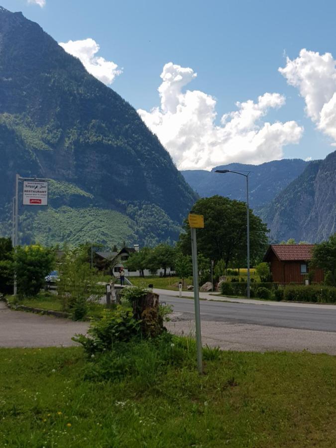 Seeblick Krippenstein Obertraun Exteriér fotografie